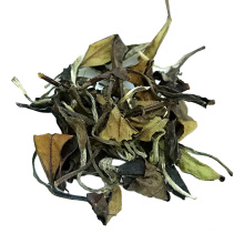 Shou Mei eyebrow White Tea